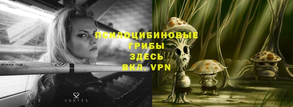 PSILOCYBIN Алексин
