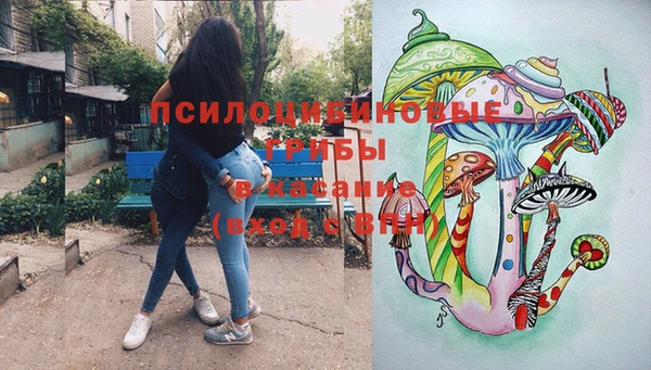 PSILOCYBIN Алексин