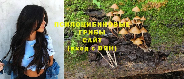 PSILOCYBIN Алексин