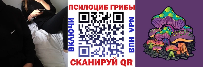 наркотики Иркутск Галлюциногенные грибы Psilocybe